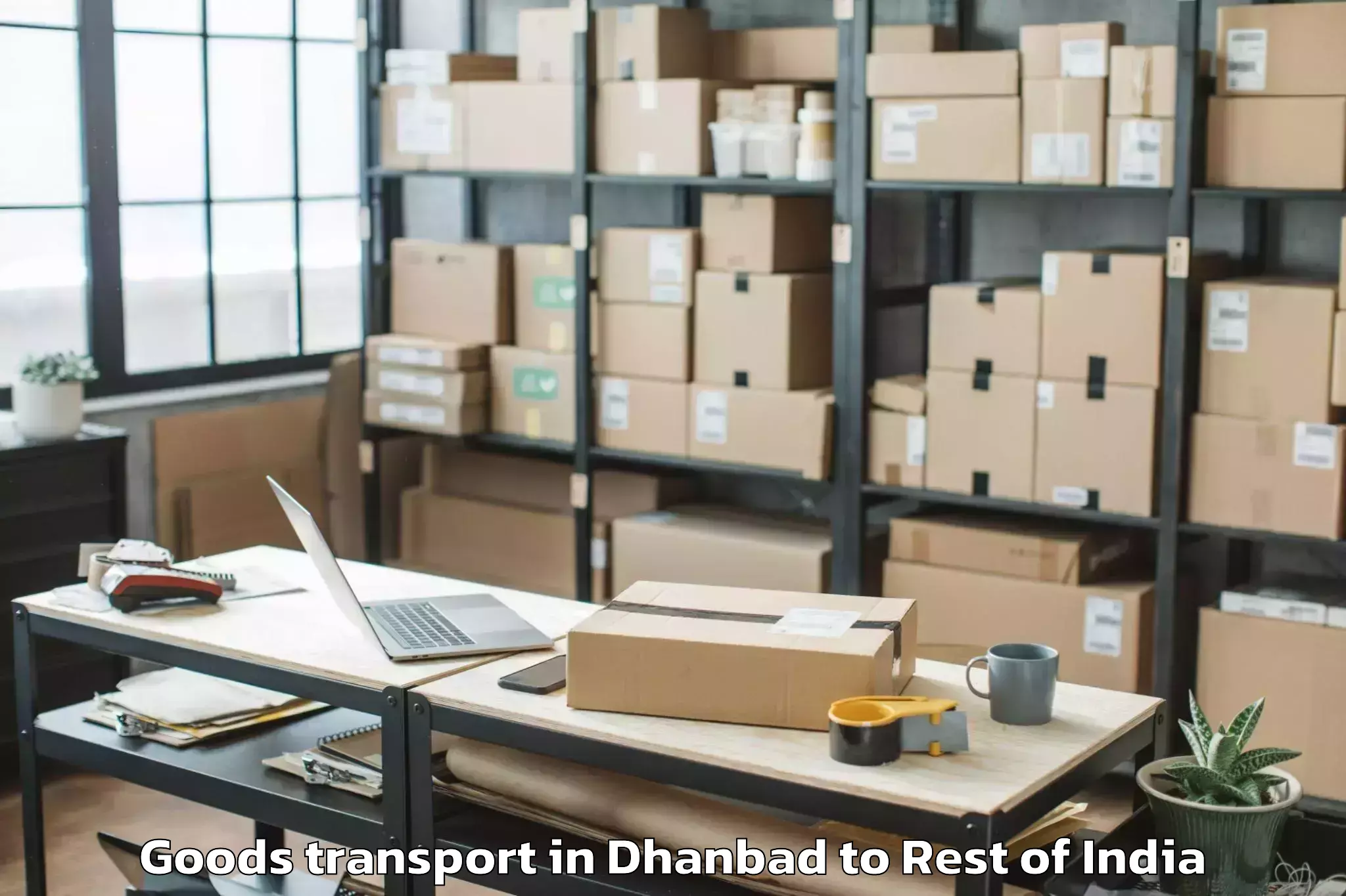 Hassle-Free Dhanbad to Peepal Khoont Goods Transport